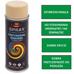 Farba uniwersalna Spray 0.4L Champion RAL 1001