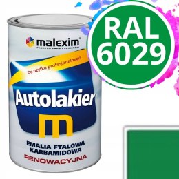 Farba renowacyjna Autolakier 0.7 L RAL 6029