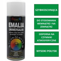 Farba uniwersalna Spray Eurocolor 400 ml RAL 5013